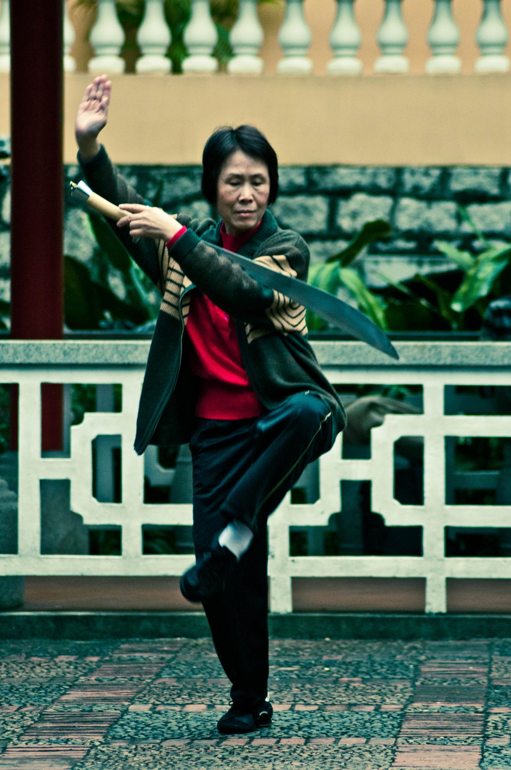 I Am The Protégé Of A Tai Chi Master